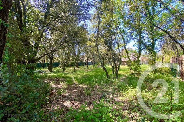 terrain à vendre - 900.0 m2 - ST DIDIER - 84 - PROVENCE-ALPES-COTE-D-AZUR - Century 21 Aristide Briand