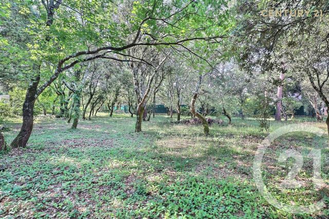 terrain à vendre - 900.0 m2 - ST DIDIER - 84 - PROVENCE-ALPES-COTE-D-AZUR - Century 21 Aristide Briand