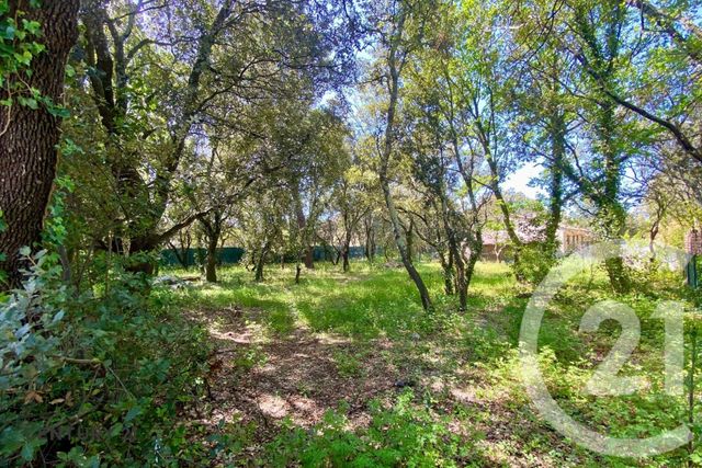terrain à vendre - 900.0 m2 - ST DIDIER - 84 - PROVENCE-ALPES-COTE-D-AZUR - Century 21 Aristide Briand