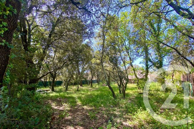 terrain à vendre - 900.0 m2 - ST DIDIER - 84 - PROVENCE-ALPES-COTE-D-AZUR - Century 21 Aristide Briand