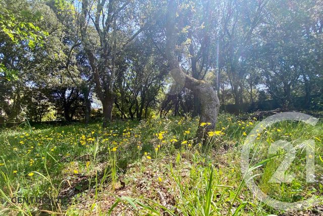 terrain à vendre - 900.0 m2 - ST DIDIER - 84 - PROVENCE-ALPES-COTE-D-AZUR - Century 21 Aristide Briand