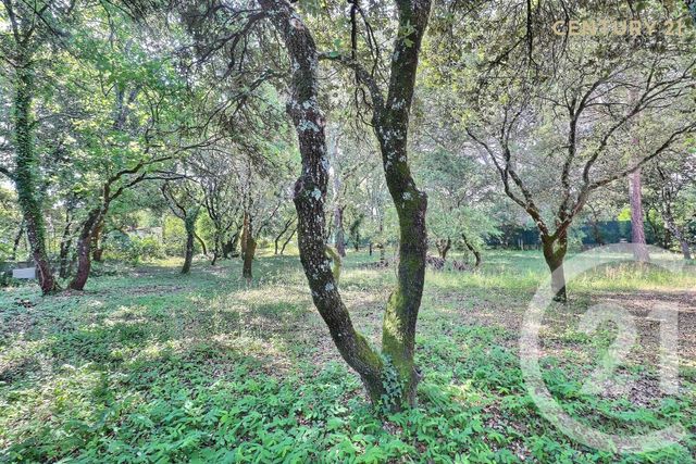 terrain à vendre - 900.0 m2 - ST DIDIER - 84 - PROVENCE-ALPES-COTE-D-AZUR - Century 21 Aristide Briand