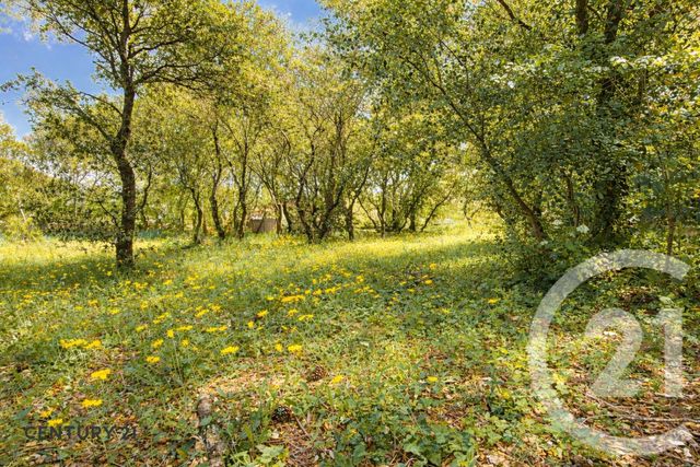 terrain à vendre - 900.0 m2 - ST DIDIER - 84 - PROVENCE-ALPES-COTE-D-AZUR - Century 21 Aristide Briand