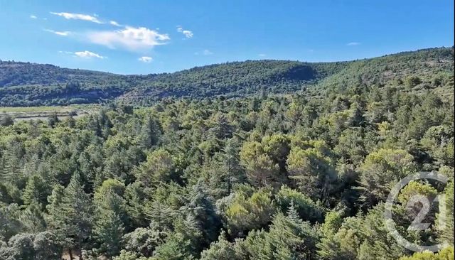 terrain à vendre - 22142.0 m2 - METHAMIS - 84 - PROVENCE-ALPES-COTE-D-AZUR - Century 21 Aristide Briand