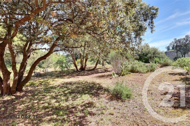 maison à vendre - 7 pièces - 185.0 m2 - BEDOIN - 84 - PROVENCE-ALPES-COTE-D-AZUR - Century 21 Aristide Briand