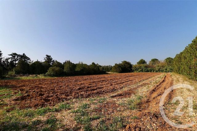 maison à vendre - 4 pièces - 89.9 m2 - CARPENTRAS - 84 - PROVENCE-ALPES-COTE-D-AZUR - Century 21 Aristide Briand