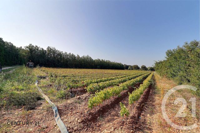 maison à vendre - 4 pièces - 89.9 m2 - CARPENTRAS - 84 - PROVENCE-ALPES-COTE-D-AZUR - Century 21 Aristide Briand