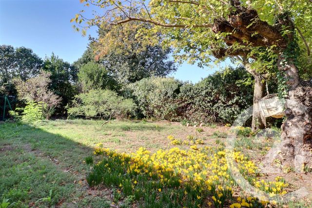 maison à vendre - 4 pièces - 112.0 m2 - CARPENTRAS - 84 - PROVENCE-ALPES-COTE-D-AZUR - Century 21 Aristide Briand